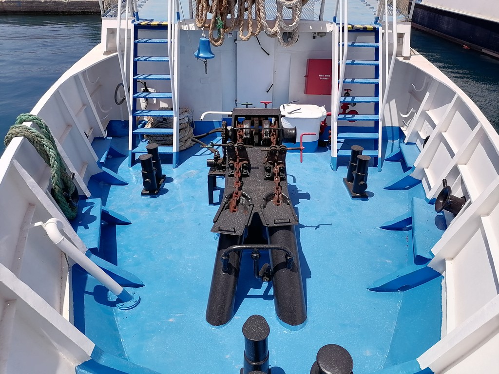 Go 1538 - Day Cruise Ship - 40m