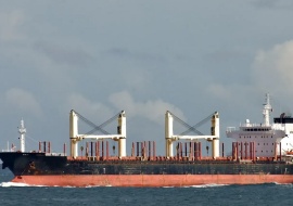 Go 1715 - Bulk Carrier - 180m