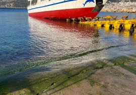 Go 1847 - Day Cruise Ship - 29m